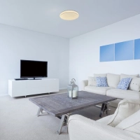 Plafonjera Trevor2 24W